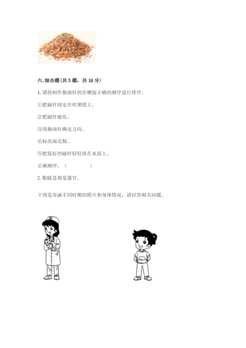 教科版二年级下册科学期末测试卷（夺冠）word版.docx