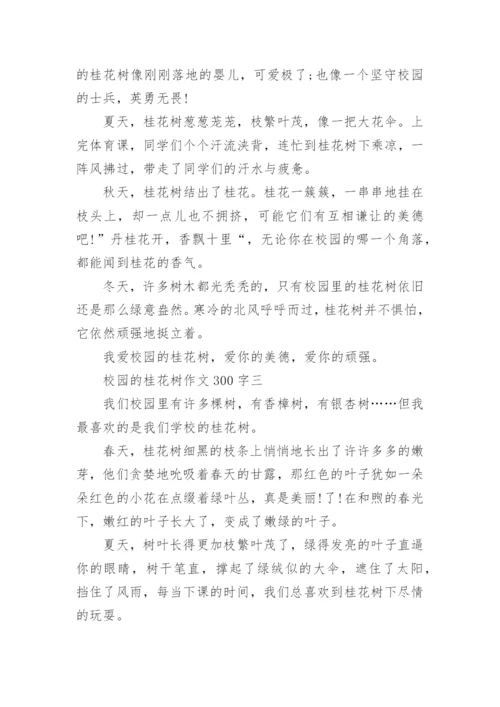 校园的桂花树作文300字.docx