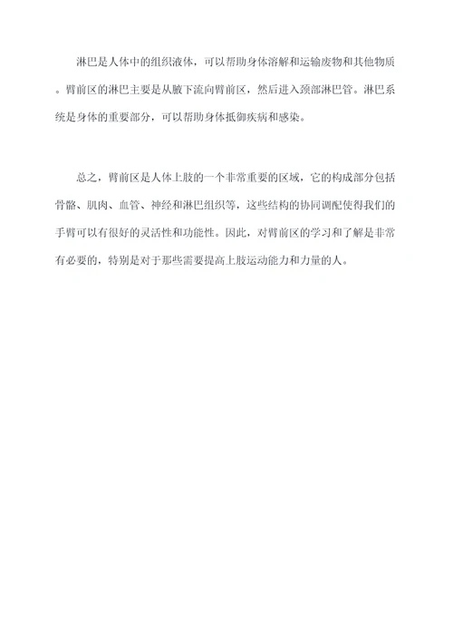 臂前区知识点总结