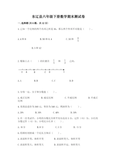 东辽县六年级下册数学期末测试卷精品及答案.docx