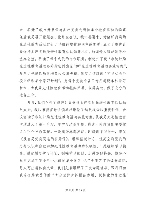 市统计局保持共产党员先进性 (2).docx