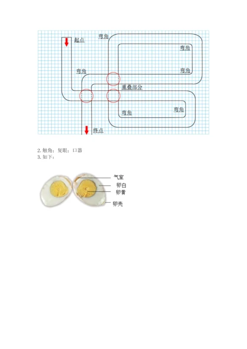 教科版小学科学三年级下册期末测试卷新版.docx