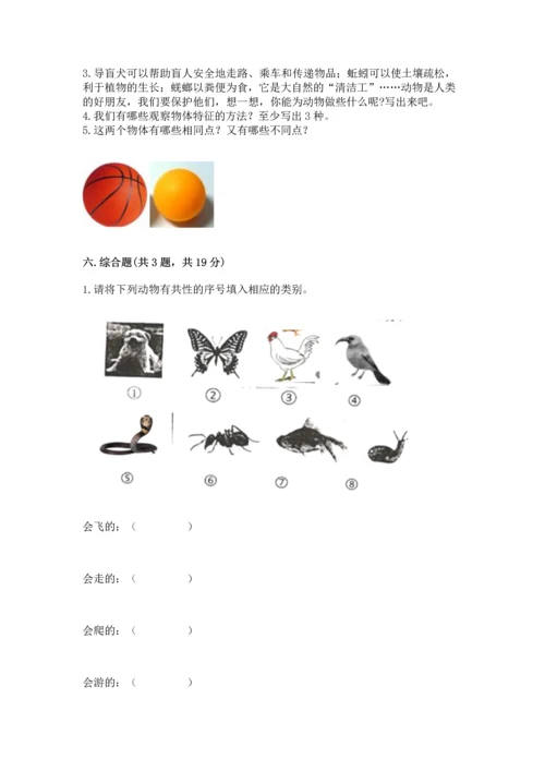 教科版一年级下册科学期末测试卷附参考答案【基础题】.docx