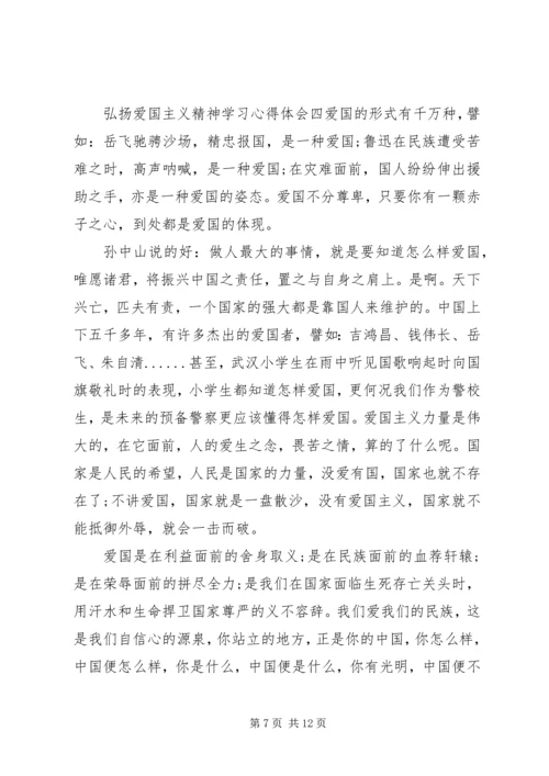 学习弘扬爱国主义精神心得感受六篇.docx