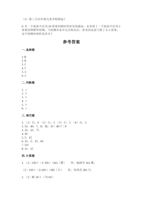 泰兴市六年级下册数学期末测试卷精编.docx