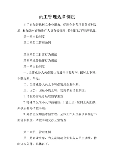 业务员管理标准规章核心制度.docx