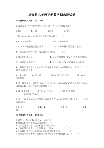 林甸县六年级下册数学期末测试卷精品带答案.docx