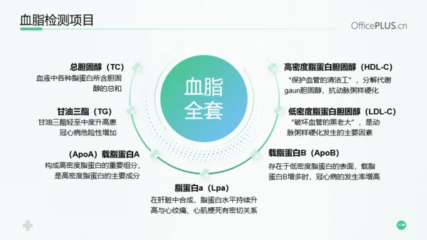 浅绿色医疗风患者高血脂教育PPT模板