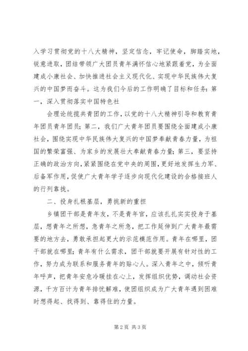 学习团十七大精神心得体会.docx