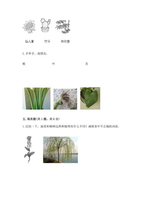 教科版科学一年级上册第一单元《植物》测试卷带答案（完整版）.docx
