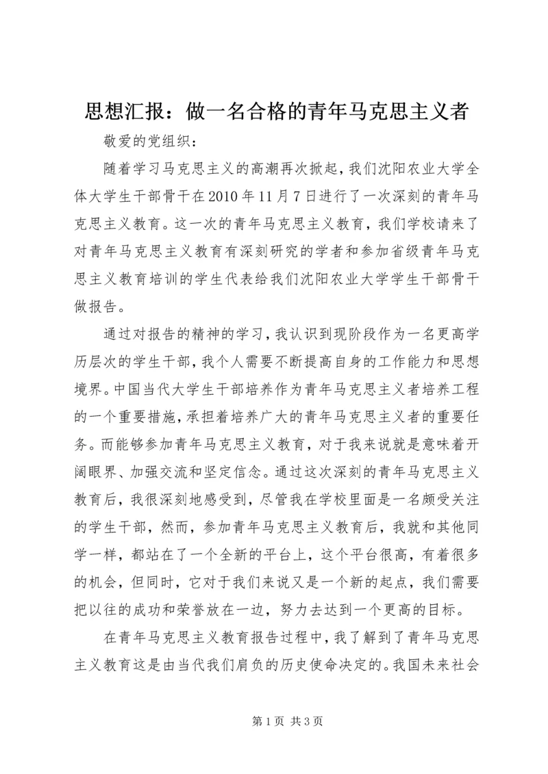 思想汇报：做一名合格的青年马克思主义者.docx