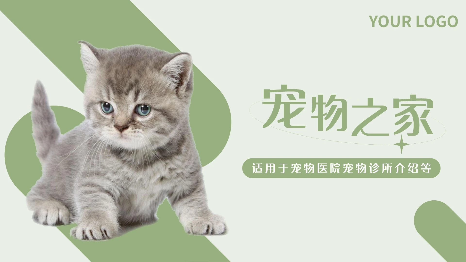 绿色简约宠物之家PPT模板宣传PPT动态PPT