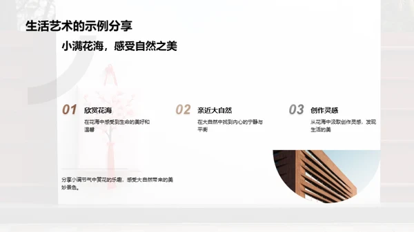 小满节气的生活韵味