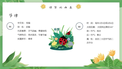 春天万物生长惊蛰女孩通用PPT模板