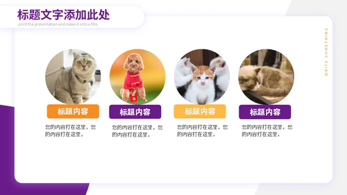 宠物小狗狗泰迪犬通用PPT模板
