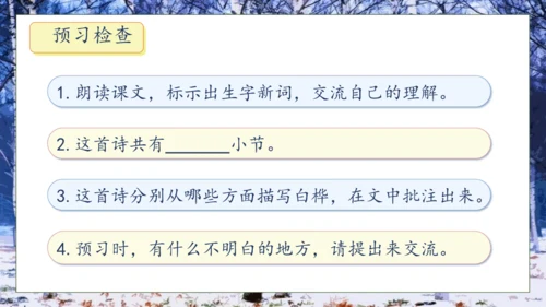 【核心素养】部编版语文四年级下册-11.白桦 第1课时（课件）