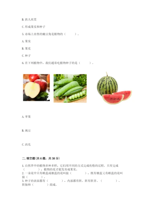 科学四年级下册第一单元植物的生长变化测试卷（考点梳理）.docx