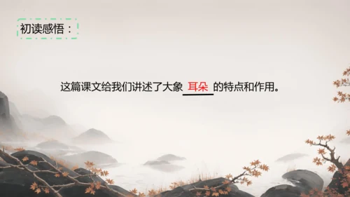 19大象的耳朵  课件