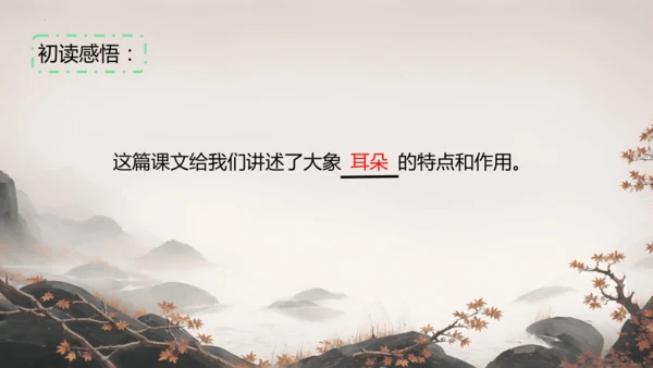 19大象的耳朵  课件