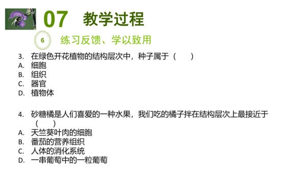 2.2.3植物体的结构层次 【说课课件】2023--2024学年人教版生物七年级上册(共42张PPT