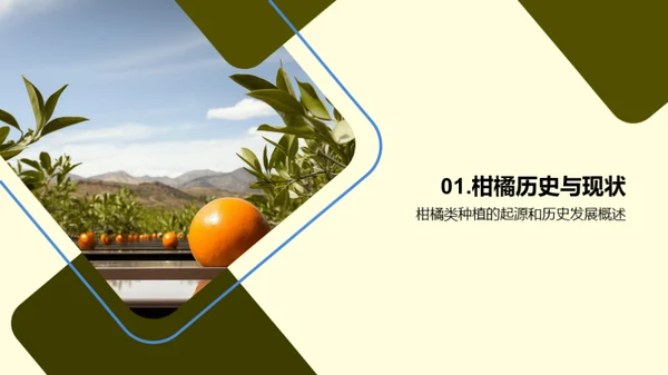 柑橘产业未来展望