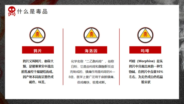 珍爱生命远离犯罪禁毒通用PPT课件