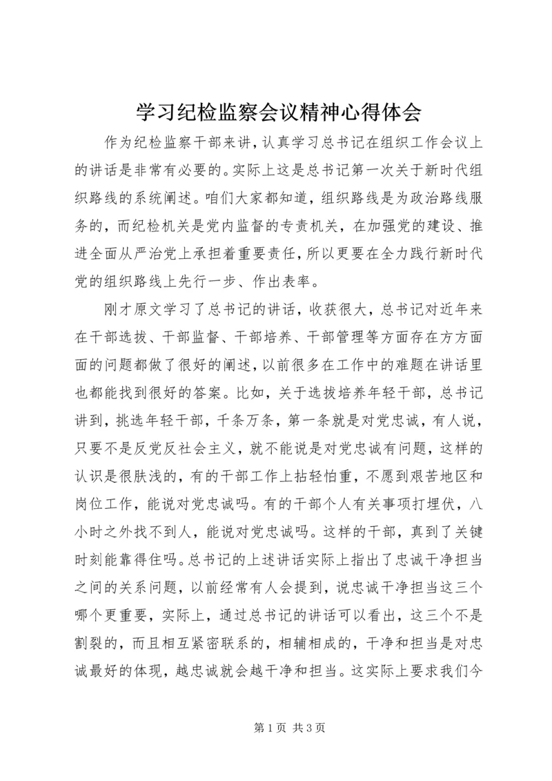 学习纪检监察会议精神心得体会 (2).docx