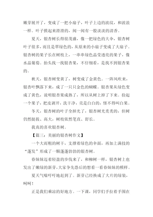 美丽的银杏树作文350字.docx