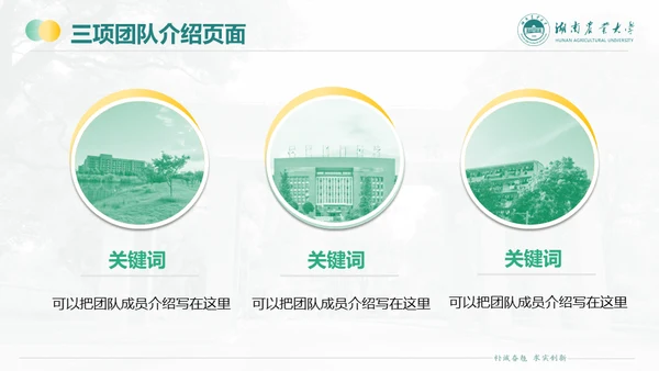 湖南农业大学毕业课题答辩通用PPT模板
