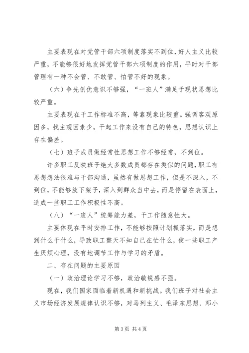 公司班子成员民主生活会剖析材料 (3).docx