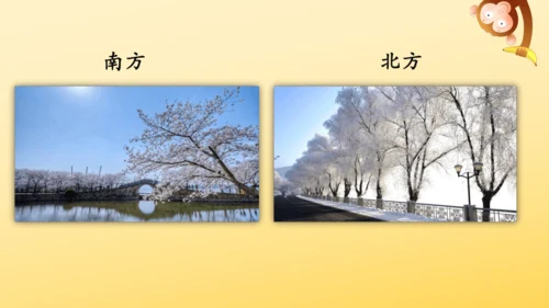 识字2 树之歌  课件