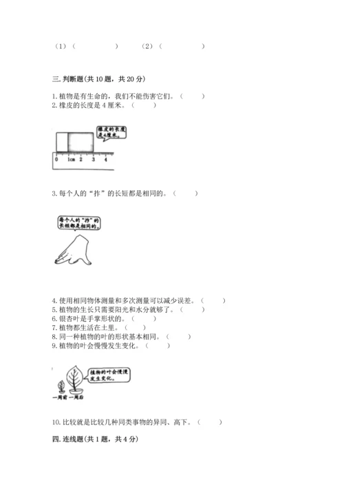 教科版一年级上册科学期末测试卷【重点】.docx