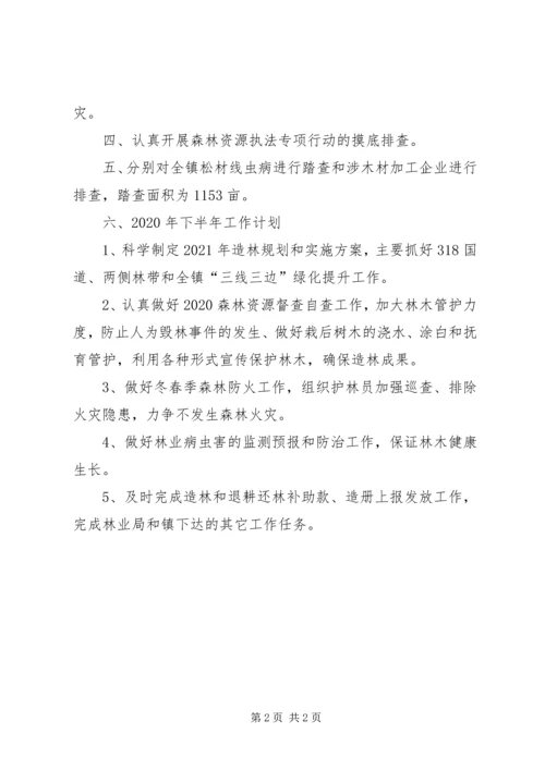 林业站上半年工作总结及下半年计划.docx