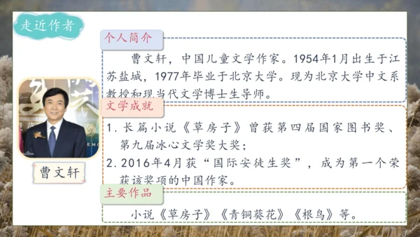 【核心素养】部编版语文四年级下册-21.芦花鞋（课件）