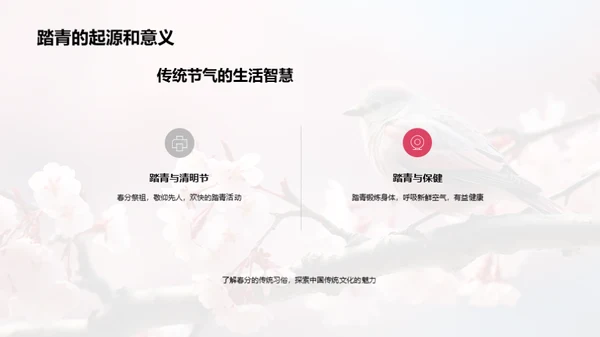 春分节气的传统韵味