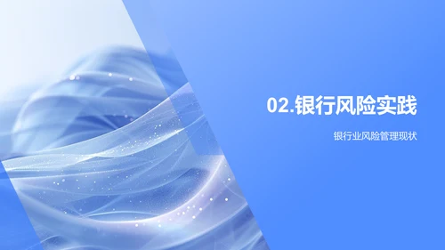 银行风险管理报告