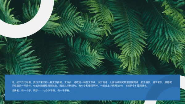 课外古诗词诵读 如梦令（常记溪亭日暮）课件