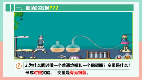 5.4.2  细菌  课件-人教版生物八年级上册(共39张PPT)