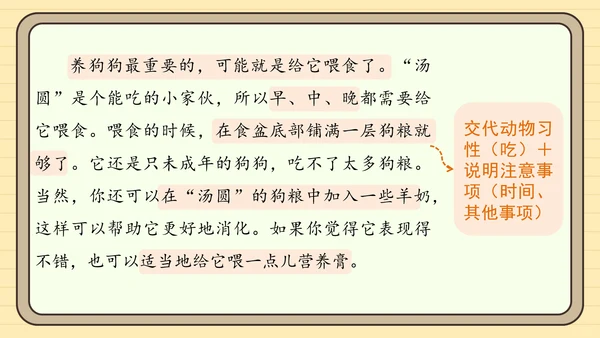 统编版语文四年级下册习作：我的动物朋友（课件）