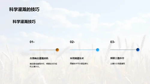 农业种植：智慧之选