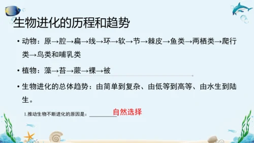人教版八年级下册生物复习课件