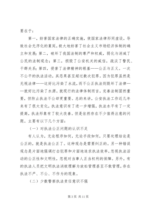 人民警察执法工作自查报告.docx