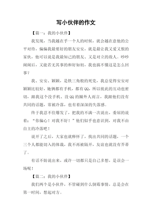写小伙伴的作文.docx