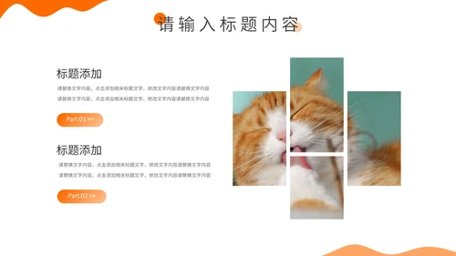 宠物健康饲养专题介绍通用PPT模板