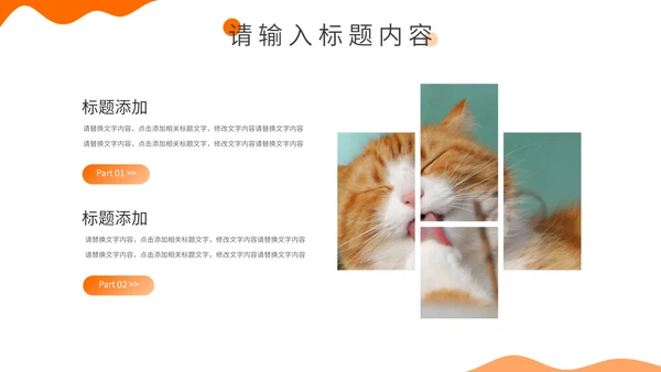 宠物健康饲养专题介绍通用PPT模板