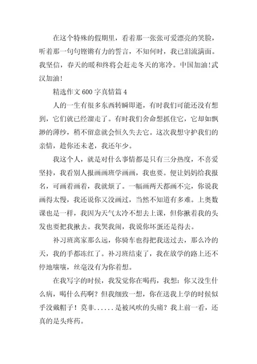 2024年精选作文600字真情