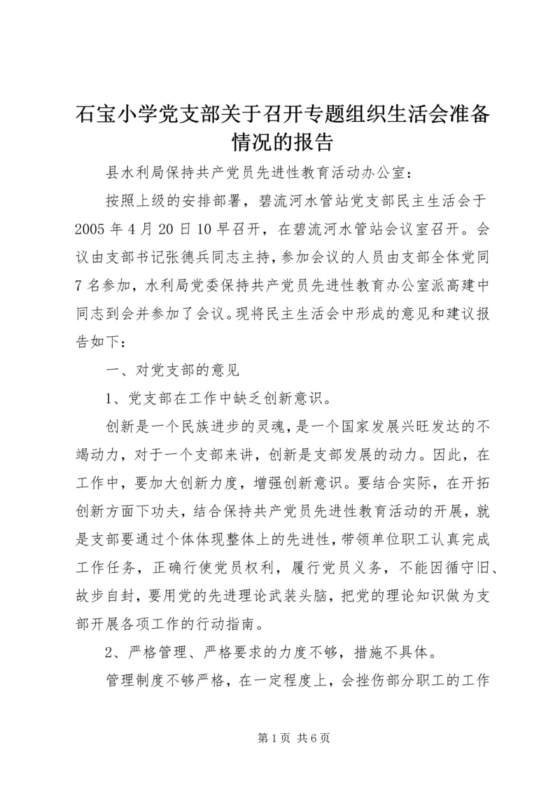 石宝小学党支部关于召开专题组织生活会准备情况的报告 (5).docx