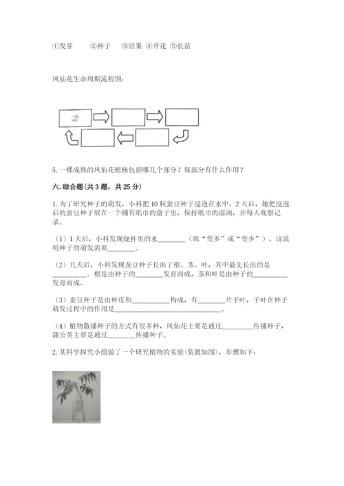 教科版四年级下册科学第一单元《植物的生长变化》测试卷附答案（实用）.docx