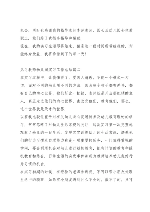 见习教师幼儿园实习工作总结.docx