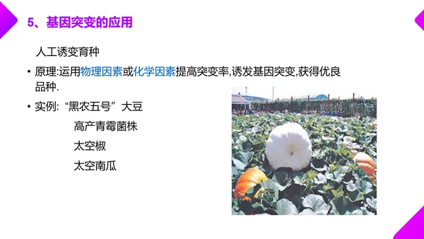 基因突变和基因重组初高中生物PPT课件